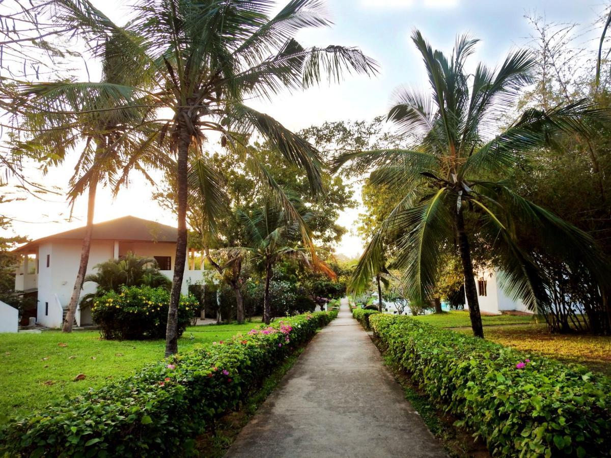 Gecko Resort วาตามู ภายนอก รูปภาพ