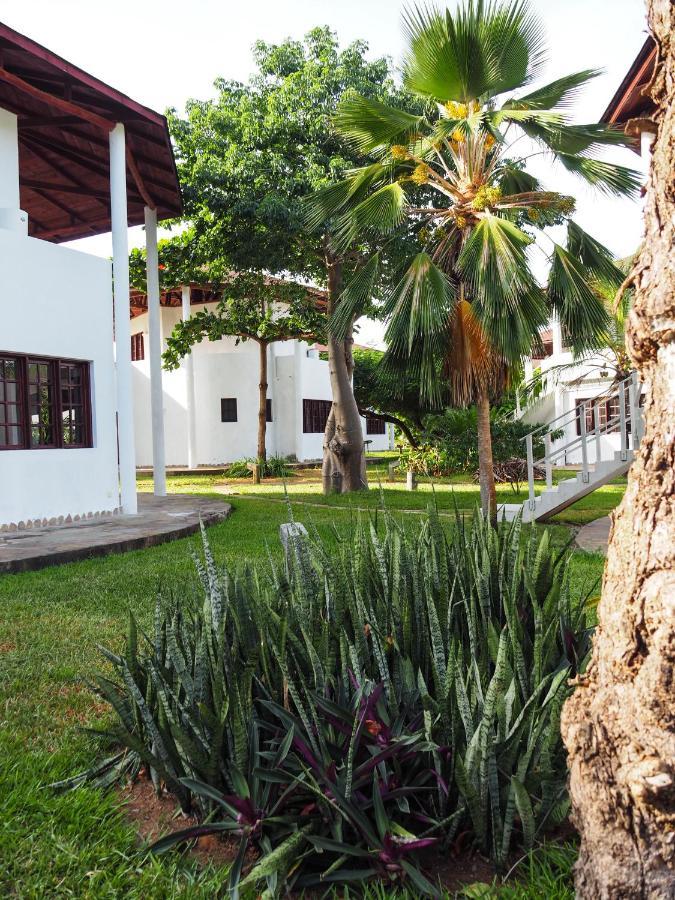 Gecko Resort วาตามู ภายนอก รูปภาพ